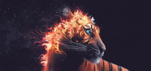tiger Archives - Live Desktop Wallpapers