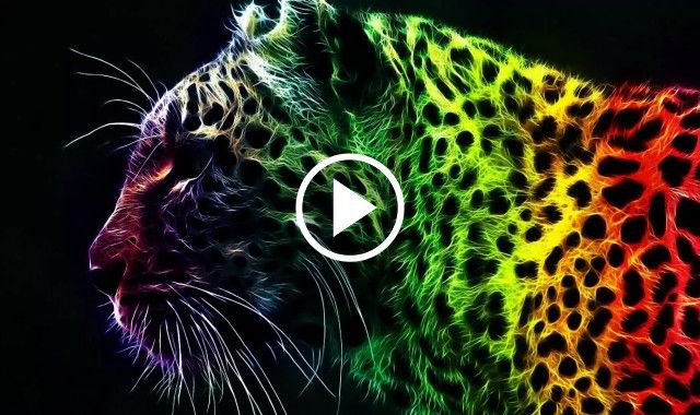 Tiger RGB Colorful Abstract - Free Live Wallpaper