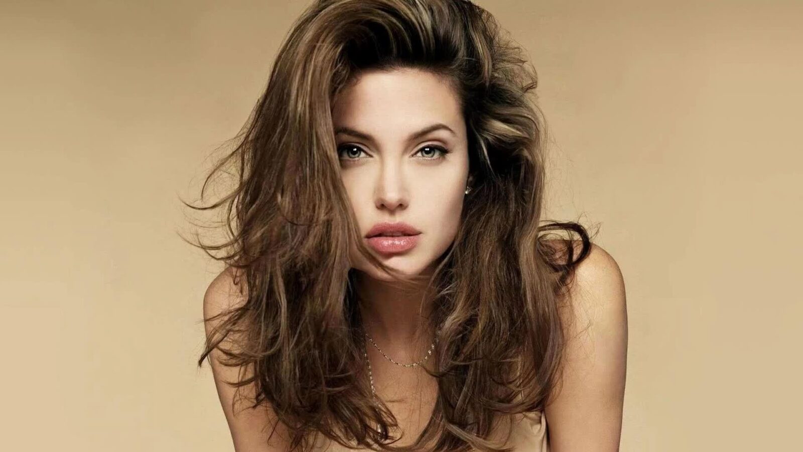 Angelina Jolie Beautiful Babe Long Hairs - Free Live Wallpaper