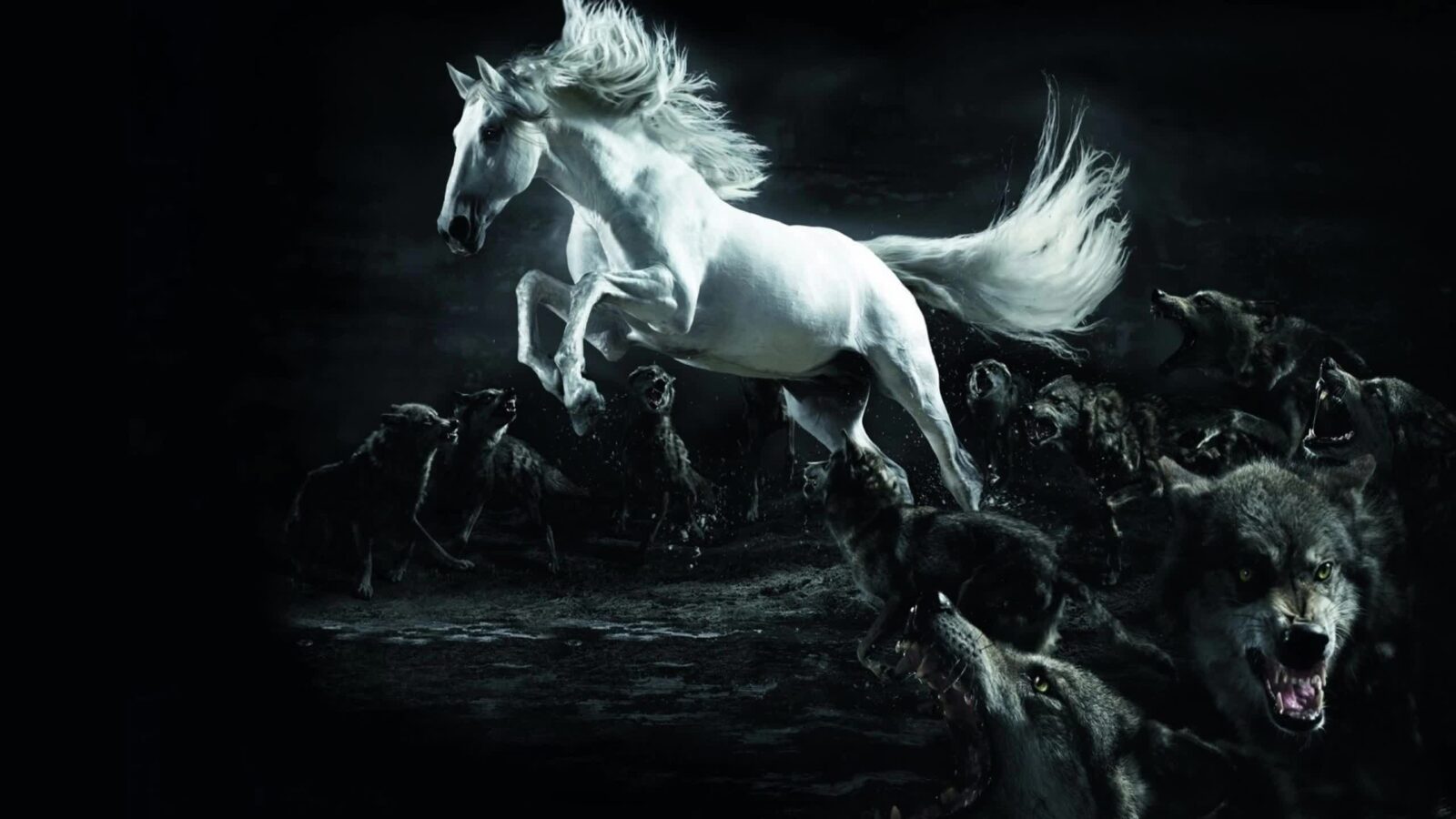 Fantasy Battle White Horse And Wolves 2K – Free Live Wallpaper