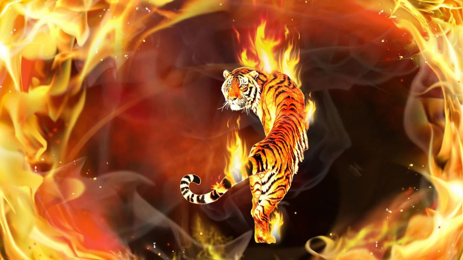 Tiger In Flames Digital Art 2K Quality - Free Live Wallpaper