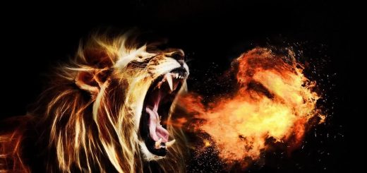 Roaring Lion Fire Fantasy - Free Live Wallpaper