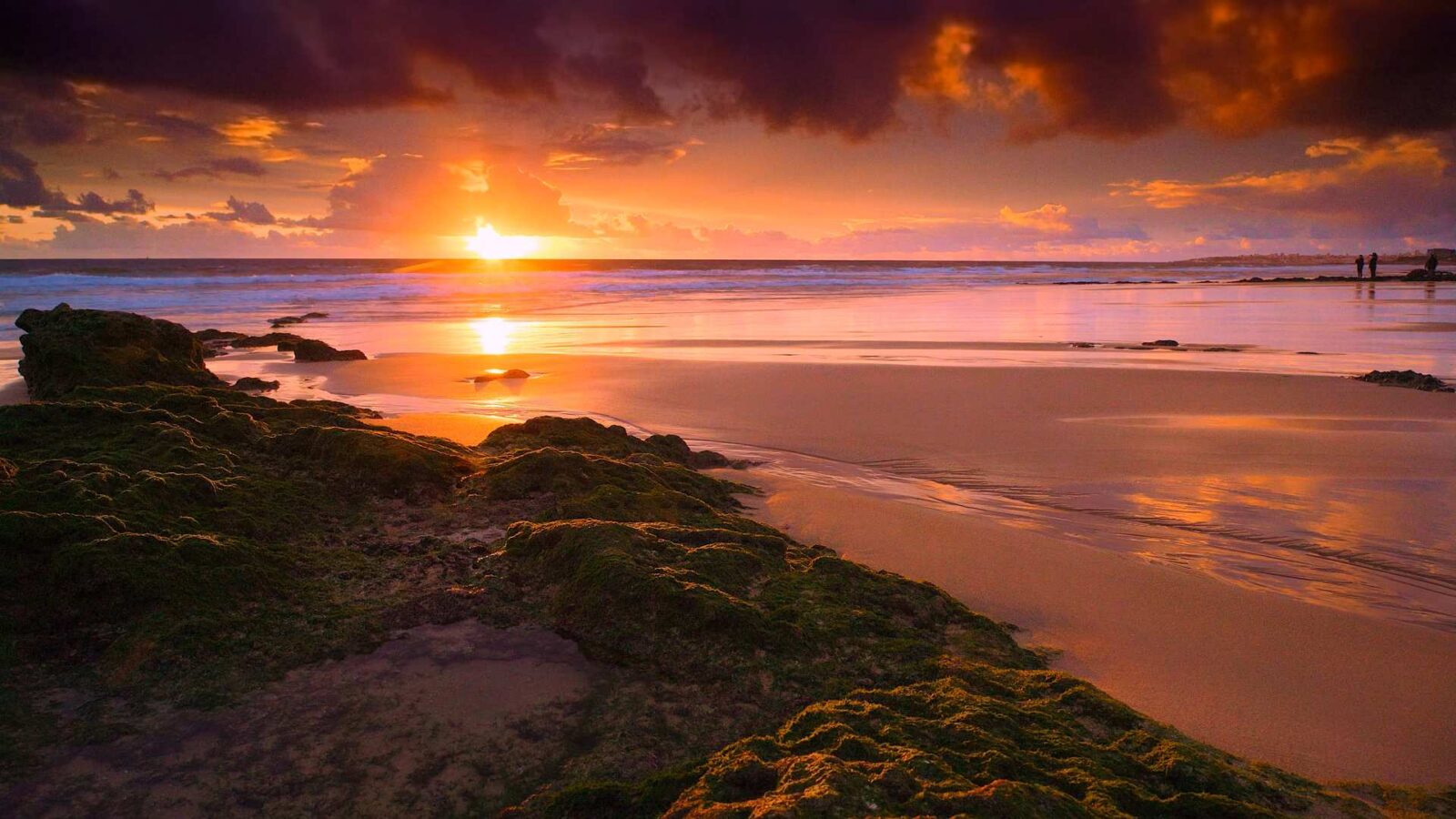 Golden Light Sea Sunset - Free Live Wallpaper