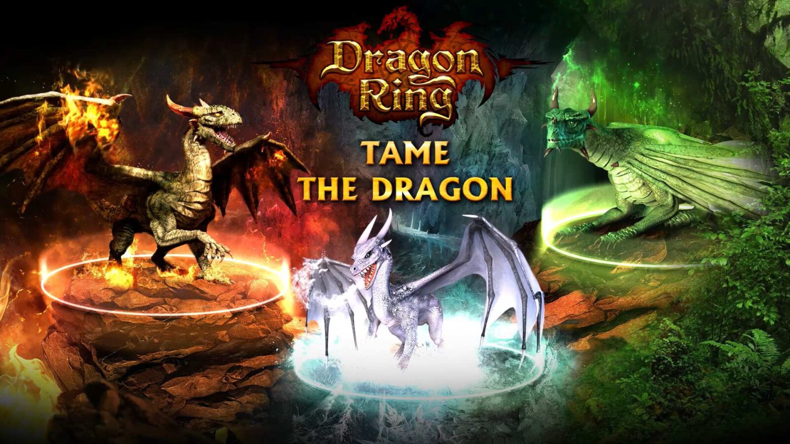 Dragon Ring - Free Live Wallpaper