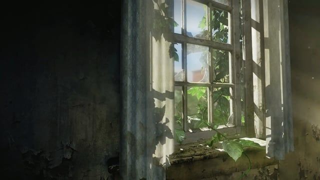 The Last Of Us Live Wallpapers 4K & HD