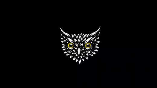 Owl Head – Free Live Wallpaper