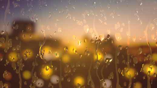 LiveWallpapers4Free.com | Raindrops on the Glass 4K Nature Background