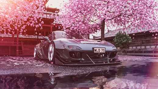 Mazda RX-7 / Cherry Blossom / Leaf Fall