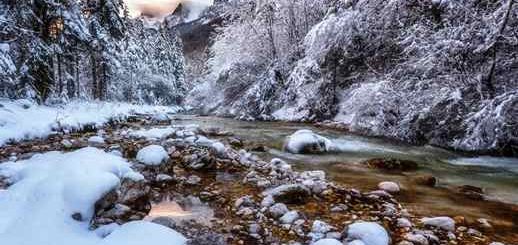 River In Frozen Winter Forest
