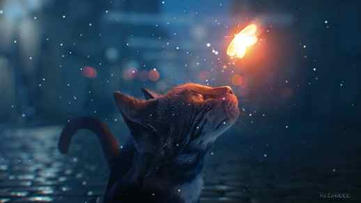 Cat Looking At а Glowing Fairy Butterfly - Live Desktop Wallpapers