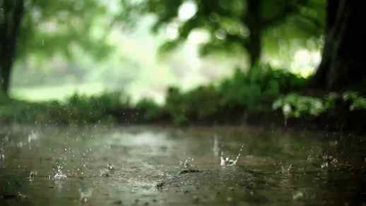 LiveWallpapers4Free.com | Rainfall Water Drops Slow Motion Nature - Live Wallpaper