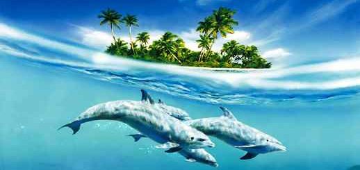 Dolphins Under Island Fantasy World - Live Wallpaper