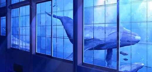 Whales Swimming Outside The Window / Huge Aquarium - Animated Background