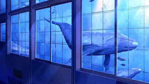 LiveWallpapers4Free.com | Whales Swimming Outside The Window / Huge Aquarium - Animated Background