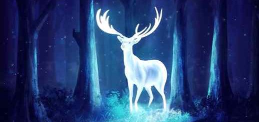 Glowing Deer Fantasy Night Forest - Animated Desktop