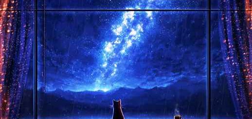 Lonely Cat Watching Aurora Night Sky 4K - Live Wallpaper