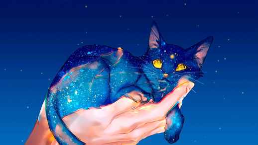 Fantasy Galaxy Cat at Hand 4K Quality