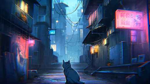 A Lonely Kitty on the Street in the Heavy Rain
