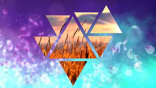 LiveWallpapers4Free.com | Nature Sakura and Wheat | Triangles | Abstract