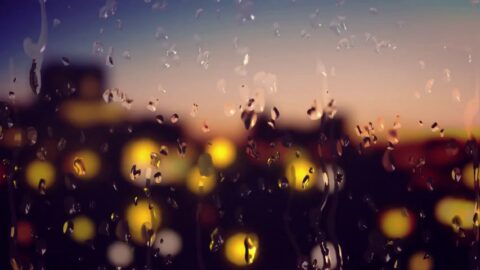 Raindrops on the Glass 4K Nature Background