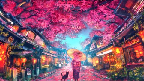 Sakura Festival Asian Girl and Cat