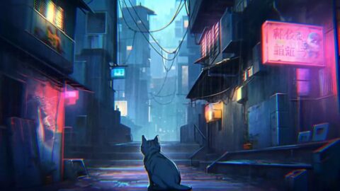 A Lonely Kitty on the Street in the Heavy Rain