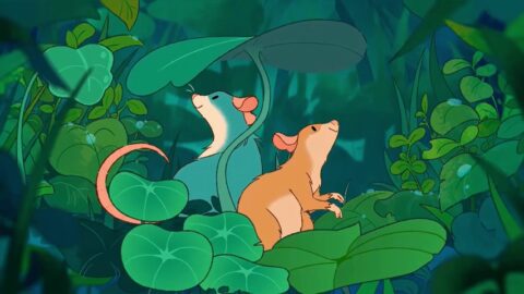 Funny and Cute Rats In The Rain | Cartoon