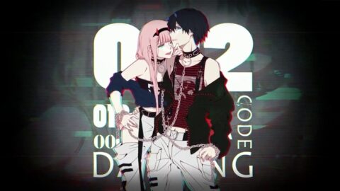 Hiro and Zero Two / Code 002 / Darling in the FranXX