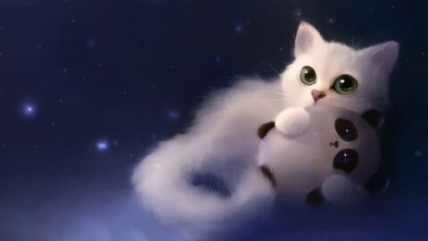 Cute White Fluffy Cat with Toy