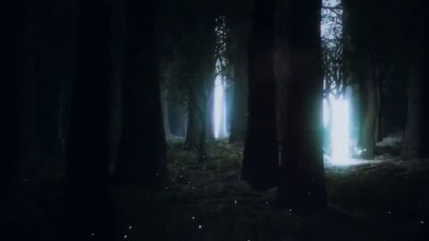 Light Beam in the Night Forest Fantasy Nature – Animated Desktop