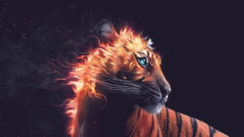 Fantasy Tiger in flames / Fire Mane – Live Desktop Wallpaper