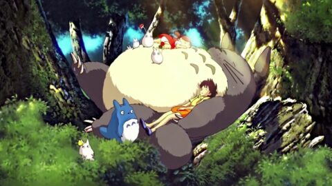 Nap Time Totoro Fantasy Film