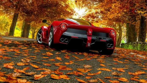 Ferrari | Golden Autumn | Leaf Fall