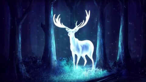 Glowing Deer Fantasy Night Forest – Animated Desktop