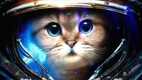 Cute Space Cat Astronaut – Animated Desktop
