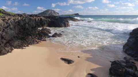 Hawaii Beach Wave, Coast, Sand – Free Live Background