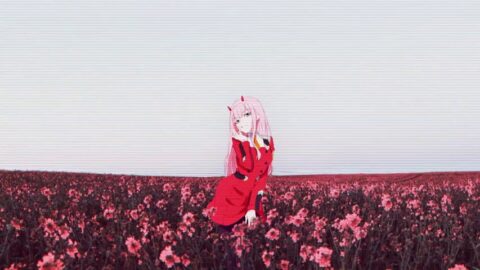 Zero Two Red Dress In A Flower Field / Darling In The Franxx – Live Desktop