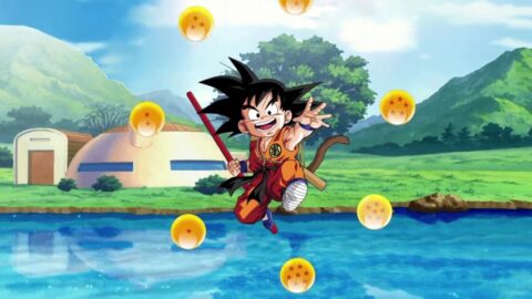 Goku House Dragon Ball