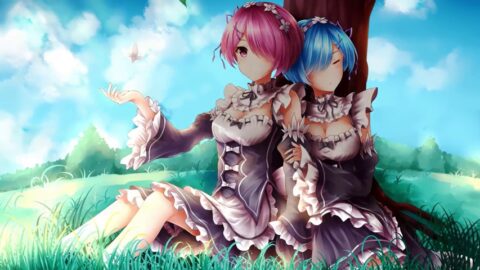 Sisters Ram And Rem Sitting Together Under The Tree Re:Zero 4K – Desktop Theme