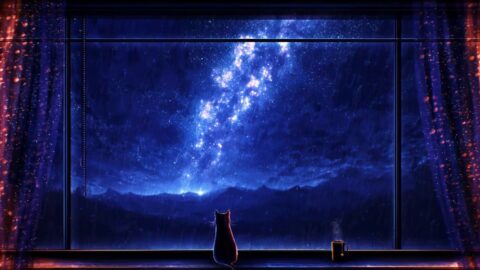Lonely Cat Watching Aurora Night Sky 4K – Live Wallpaper