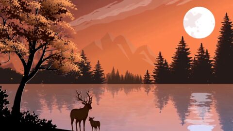 Reindeer Mother and Child Lake Forest 4K – Live Wallpaper