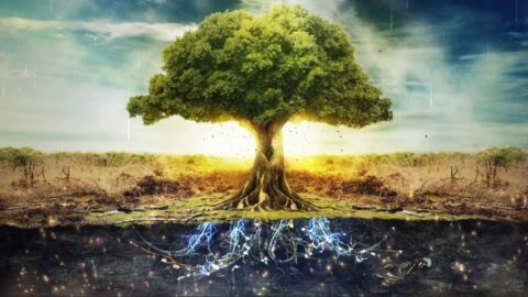 Fantasy Electric Tree Of Life