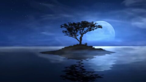 Lake Island Tree and Moon
