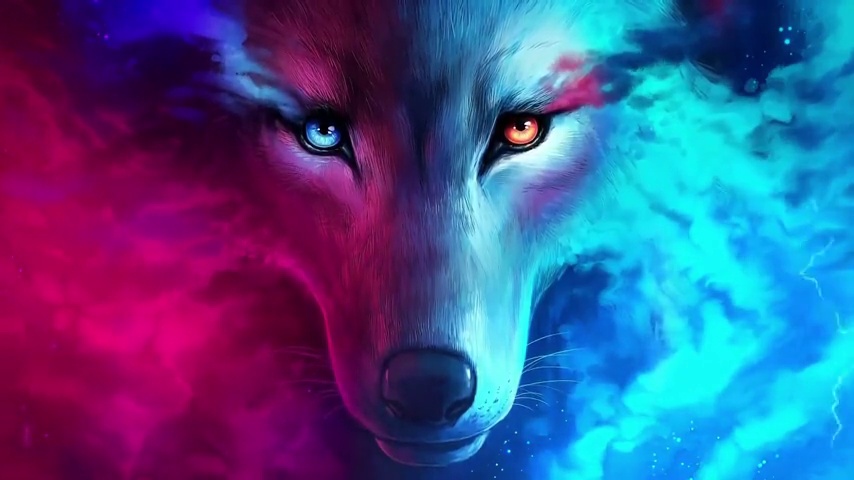 The Menacing Gaze of a Wild Beast / Wolf - LiveWallpapers4Free.com