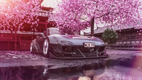 Mazda RX-7 / Cherry Blossom / Leaf Fall