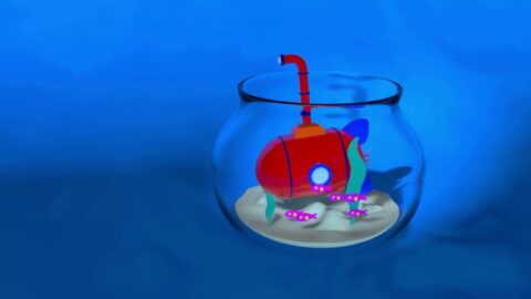 Small Red Submarine / Aquarium / Glass Bulb 4K – Moving Desktop