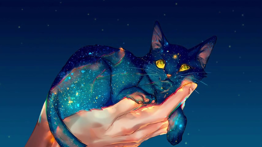 Fantasy Galaxy Cat at Hand 4K Quality - LiveWallpapers4Free.com