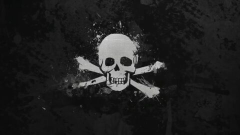 Skull and Bones | Pirate Flag