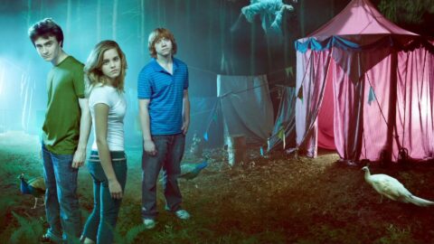 Wizards Harry Potter, Hermione, Ron