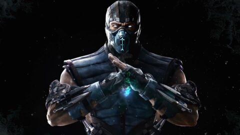 Grandmaster Sub-Zero Immortal Ninja Mortal Kombat